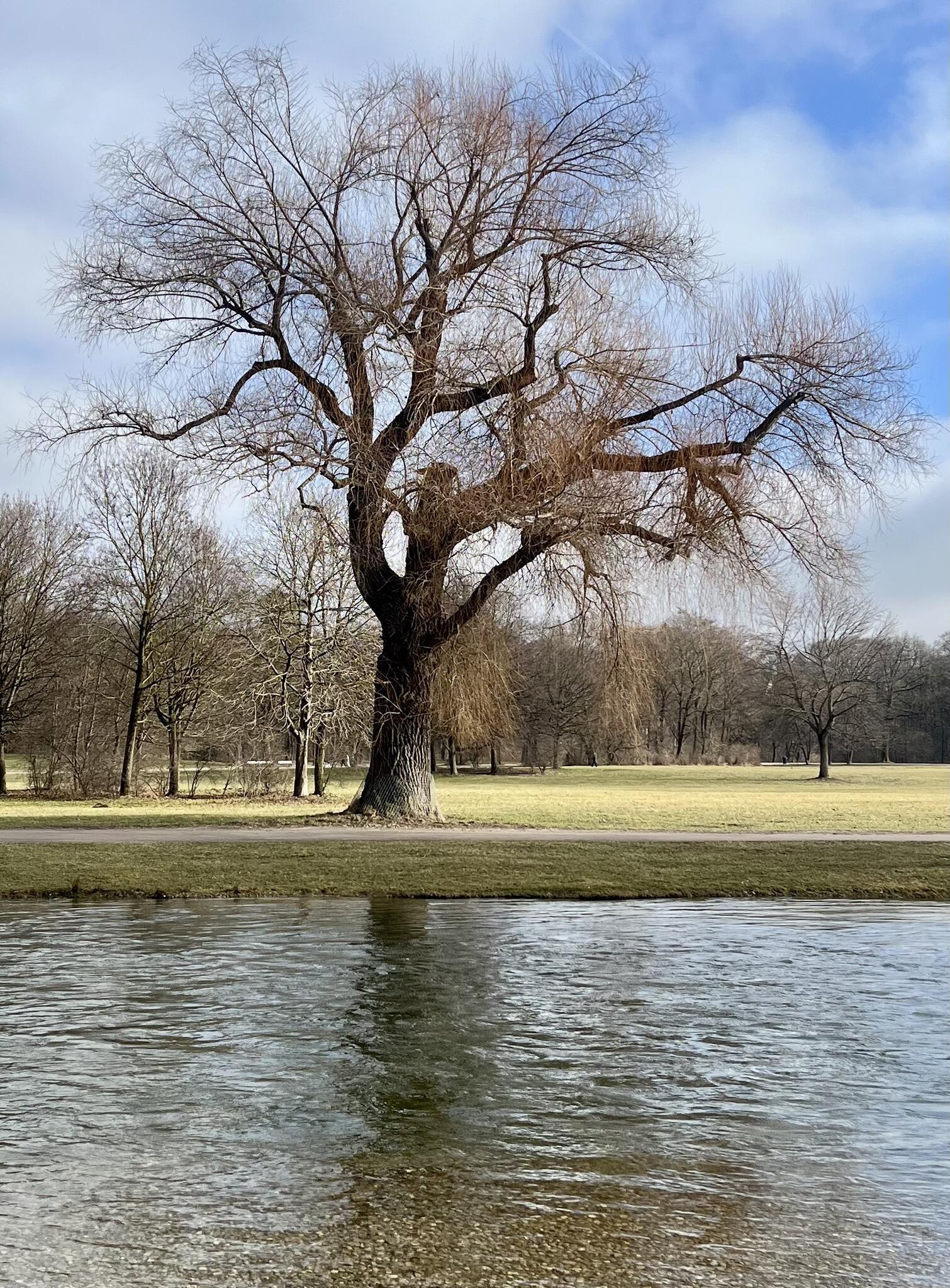 Englischer Garten